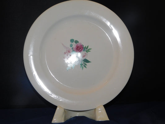 10" Rimmed Dinner Plate